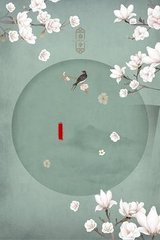 猫咪影视